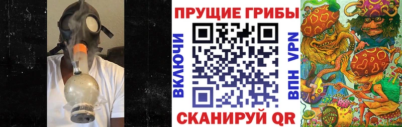 Галлюциногенные грибы Psilocybine cubensis  Купить  Никольск 
